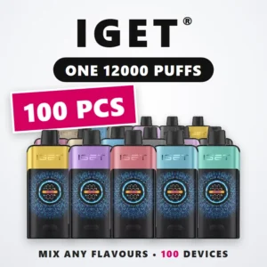 IGET One 12000 Wholesale 100 Pcs IGET One 12000 Wholesale 100 Pcs