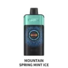 Mountain Spring Mint Ice IGET One 12000 Puffs