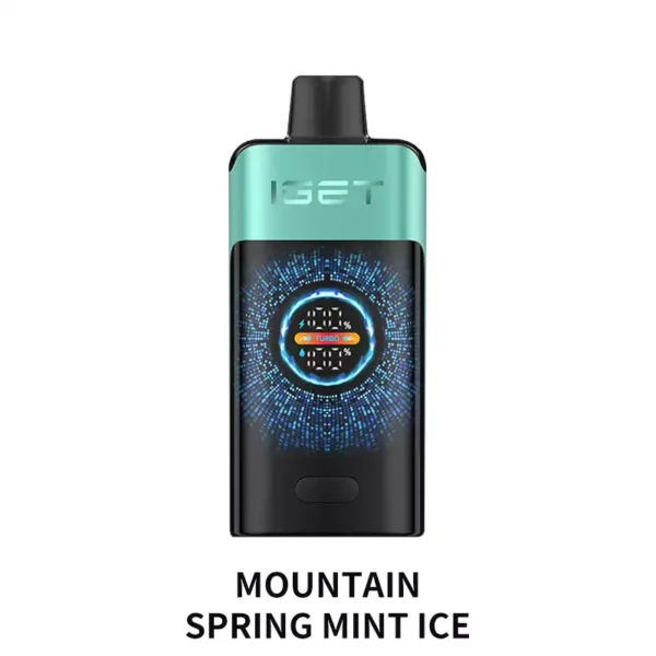 Mountain Spring Mint Ice IGET One 12000 Puffs disposable vape device with smart LED display screen and retail box packaging Australia