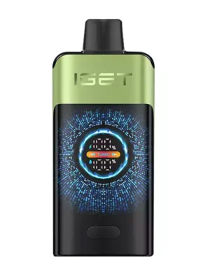 Strawberry Kiwi Ice IGET One 12000 Puffs
